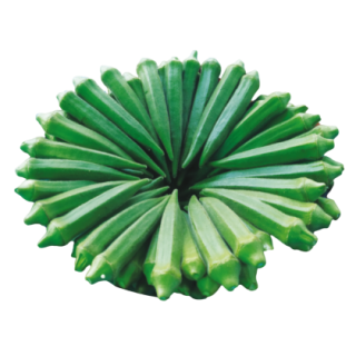 Anushri Okra From Known You Seed (India)-KYI